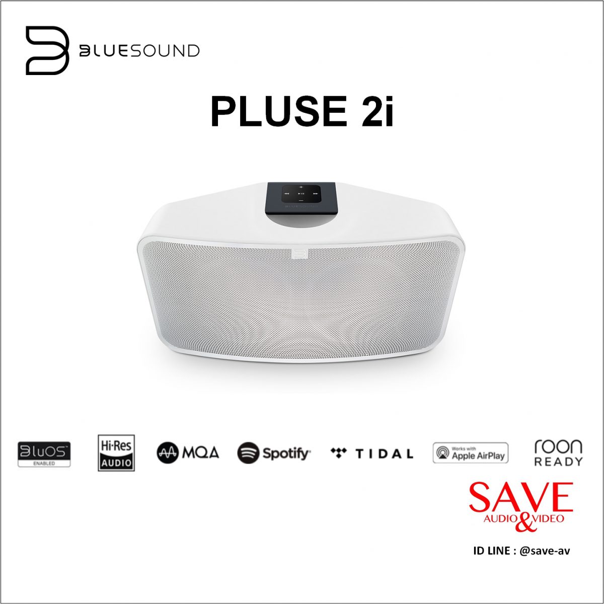 BlueSound PLUSE 2i