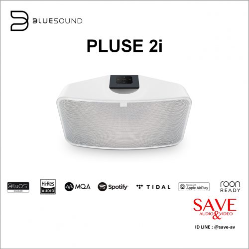 BlueSound PLUSE 2i