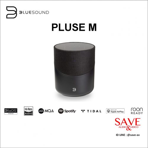 BlueSound PLUSE M