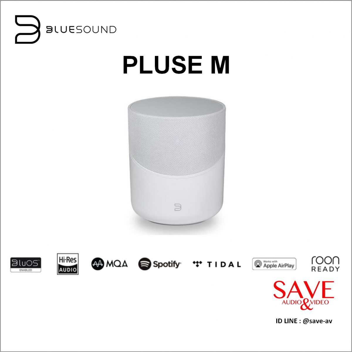 BlueSound PLUSE M